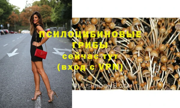 соль ск Володарск