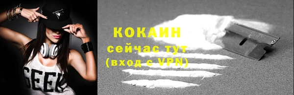 СК Волосово