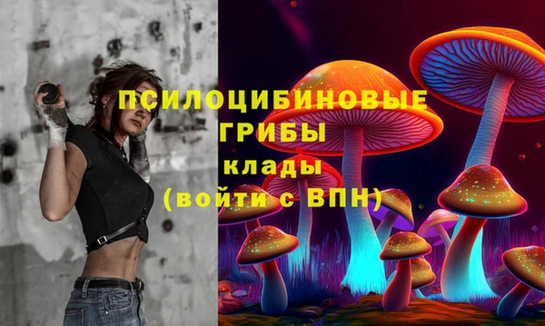 соль ск Володарск