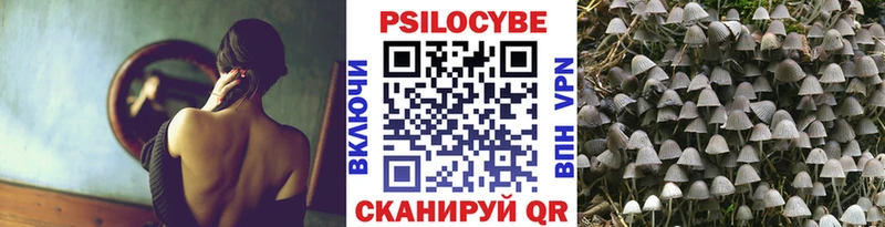 Купить  Отрадный  Галлюциногенные грибы Psilocybe 